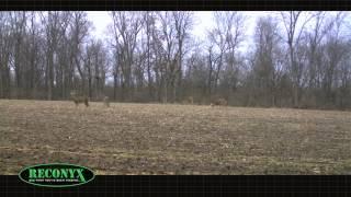 HOW TO USE A TRAIL CAMERA