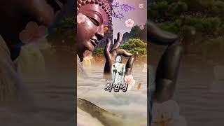 화엄경 (영인스님) 부처님의 광명의 빛으로 모든것이 순조롭다