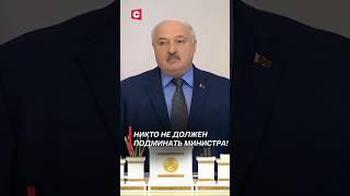 Лукашенко: Никто не должен подминать министра! #shorts #лукашенко #беларусь #новости #политика