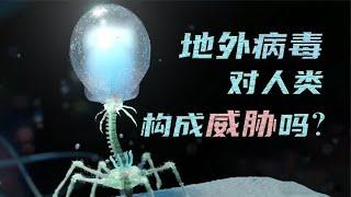 星际感染存在吗？禁忌知识与信息污染是病毒的本体吗？