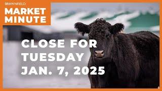 Cattle were up Tuesday | Closing Market Minute