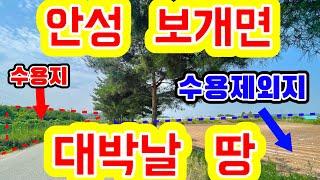 [안성 토지]안성 보개면 급매물 동신산업단지 경계 수용제외지/ 위치 좋은 토목공사 완료된 대박날 땅