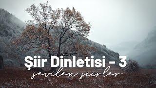 Şiir Dinletisi | Sevilen Şiirler | 1 saatlik şiir dinletisi