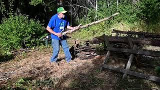 Minimalist Logging with JD 40V Saw, MW Tractor + Cushman Trailster