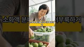 만능 소화제   매실청 의 놀라운 효능 3가지 #건강 #koreanfood #영양식