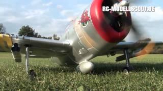 Test und Video P-47 THUNDERBOLT Staufenbiel auf RC-MODELLSCOUT.DE