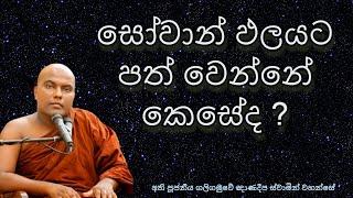 සෝවාන් ඵලයට පත් වන්නේ කෙසේද ? | Ven Galigamuwe Gnanadeepa Thero