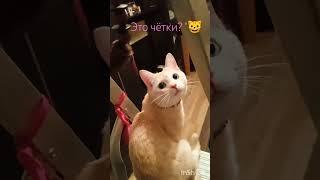 Ты чего? Какие чётки?? 
