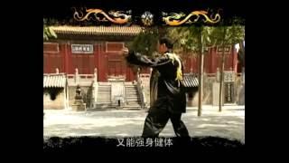 DVD01 张东武 老架一路