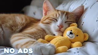 12 Hours Of Cat Healing Music Soothing Sounds for Deep Relaxation And Sleep With Soothing Piano