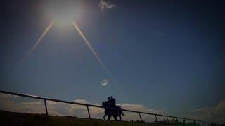 Palm Meadows Training Center: A Hidden Gem