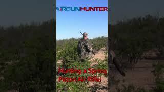 Hunting Break Barrel Spring Piston Air Rifle