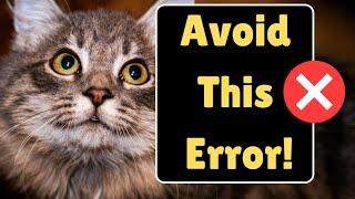 Your Cat May Never Recover From THIS Mistake