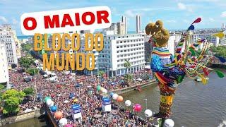 Galo da Madrugada 2025: como foi o desfile do maior bloco de Carnaval do Mundo | O Melhor Carnaval