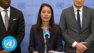 Yemen: Pledge to Climate, Peace and Security - Security Council Media Stakeout | United Nations