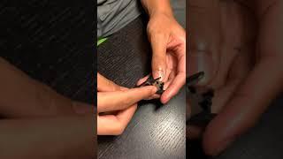 Glock trigger assembly