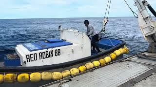 Paano nahuli ang mahigit 150 toneladang isda? (Pacific Tuna Fishing)