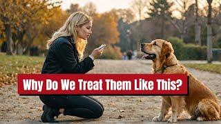 Are Golden Retrievers Naturally Aggressive Dogs | Dog Training | Golden Retriever Dog