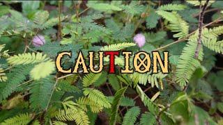 CAUTION (எச்சரிக்கை)- TAMIL SHORT FILM- WRITTEN & DIRECTED BY DINESH KJ