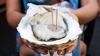 Japanese Street Food - GIANT OYSTER and Seafood Tour of Tsukiji Market in Tokyo, Japan!