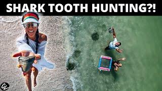 How to find SHARK TEETH in Venice Florida!