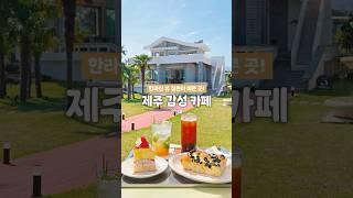  꽃 분수가 있고, 한라산이 보이는 서귀포 카페