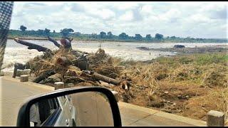 WATCH: Kruger National Park After The Flood Damage! Sabie Bridge! Kruger Storm Aftermath! #flood