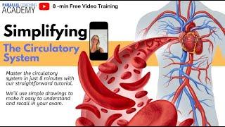Simplifying the circulatory system