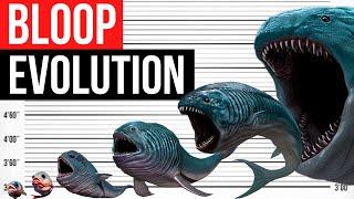 Evolution Of BLOOP | Life Cycle