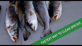 The absolute best way to fillet speckled trout