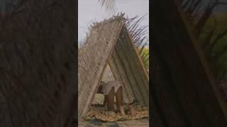 Camping in a palm leaf tent ️