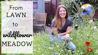 I Planted A Wildflower Meadow | Amazing Lawn Transformation | From Seeds to Blooms