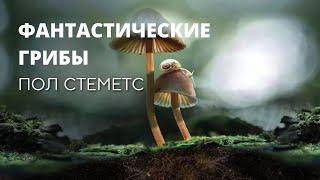 Фантастические Грибы, Пол Стеметс (Paul Stamets). Фильм документальный (2019)