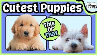 This or That?!? Cutest Puppies Brain Break | Kids Workout | Just Dance | Kids Yoga | Funny Dogs