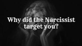 Why did the Narcissist target you? #narcissist