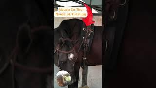 Horse Abuse In The Name of Training - Cruel Horse Training Methods