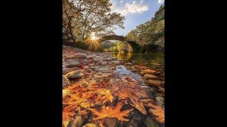 EQUINOCCIO DE OTOÑO SU IMPORTANCIA ESPIRITUAL. FRATERNIDAD ROSACRUZ DE MEXICO, SERVICIO DEVOCIONAL