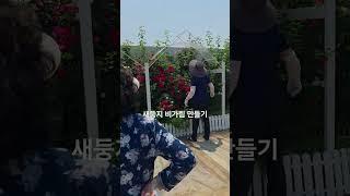 #새둥지#비가리기#만들어주기#일요일#일상#햇볕은#쨍쨍쨍