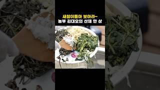 새참이들아 보아라~ 농부 김대호의 산채 한 상 #shorts #흙심인대호