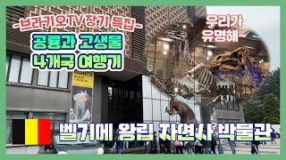 #35 [공룡과 고생물 4개국 여행기] 9탄 l 벨기에 왕립 자연사 박물관 탐방기#fossil #museum