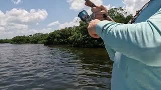 Good Times Fishing Adventures with Capt Wayne Johnson - Redfish Hook Up -  Call today - 941-773-3513