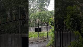 How !! Romantic ️ #fizyeasy #rain #shorts