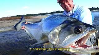 Top 10 Most Dangerous Fish in the World #dangerous #fish
