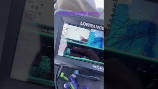 Lowrance HOOK Reveal рисует стаю белой рыбы #рыбалка #lowrance #lowrancefishing #lowrancehookreveal