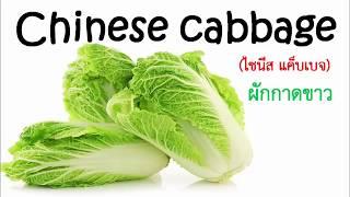 Vegetables 1 l ผัก