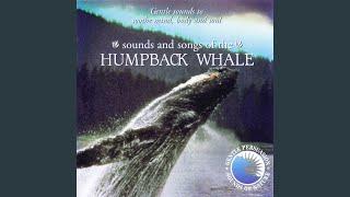 Sounds and Songs of the Humpback Whale