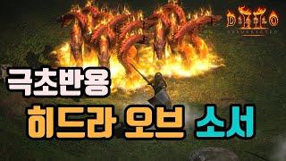 파괴참 먹기 전에 가장 좋은, 극초반용 히드라 오브 소서 세팅 영상입니다/디아블로2 레저렉션/ diablo2 resurrected