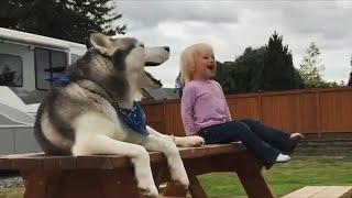 an evening Conversation ~ Husky Little Girl 