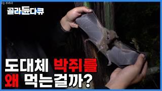 코로나 바이러스 전파 이전부터 박쥐를 먹어왔다는 이들｜대체 다른 고기도 아니고 왜 박쥐를 주식으로 섭취할까?｜다큐프라임#골라듄다큐