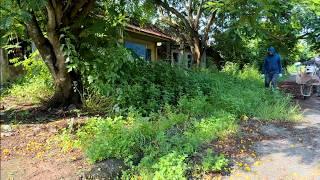 Satisfying transformation of two adjacent abandoned houses - Clearing overgrown front yard